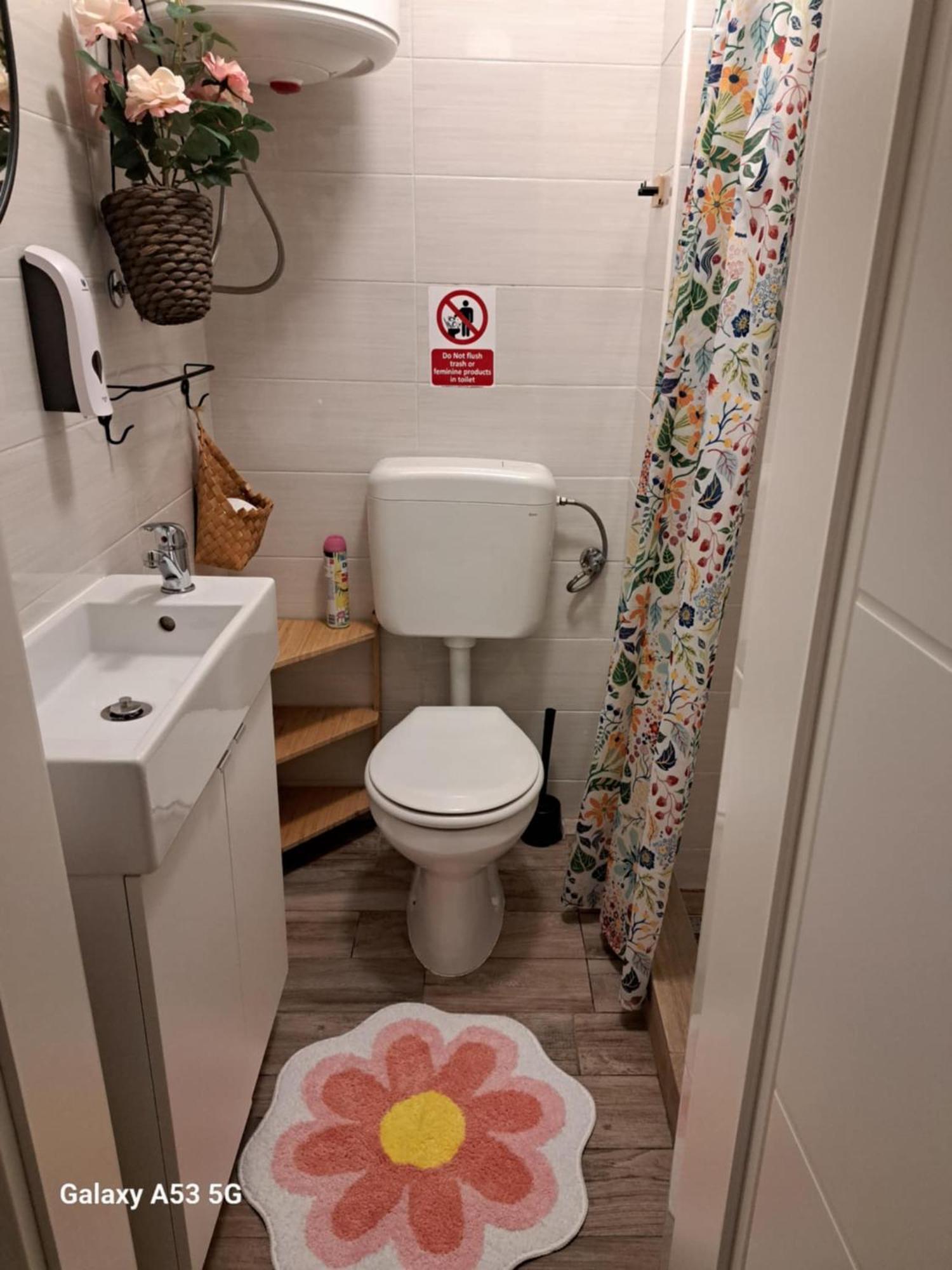 Istrabella Apartment コペル エクステリア 写真